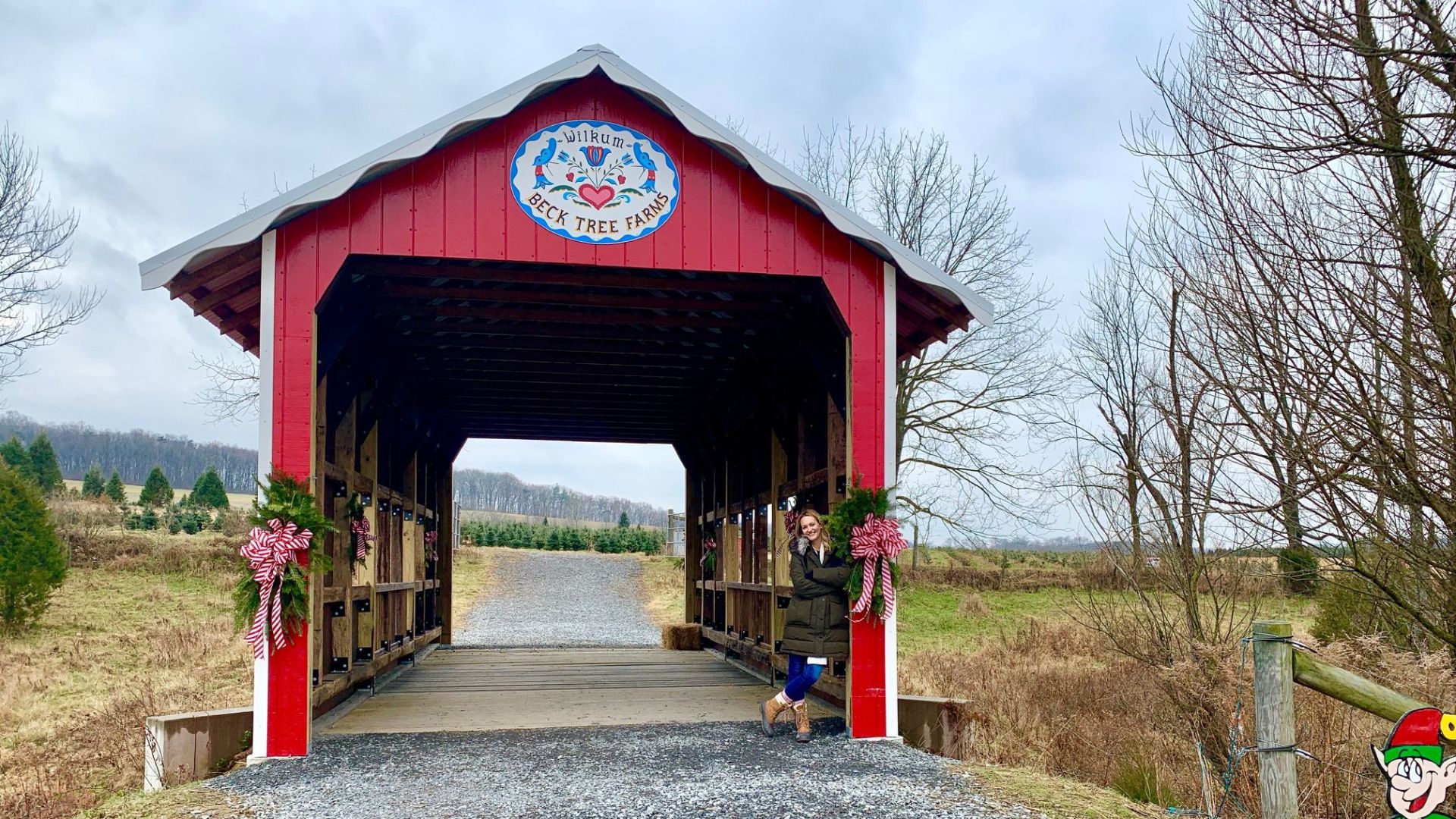 12-4-19 Beck Tree Farms 5.jpg
